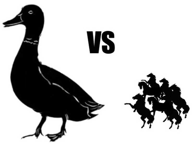Duck-sized horses?